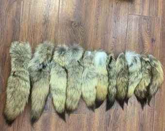 Colas de coyote grandes y regordetas, seleccione, 14-18", piel suave, colas bronceadas sedosas. 1 cola de coyote verdadera. Piel de coyote. Cuero de coyote. Piel de animal. Cola