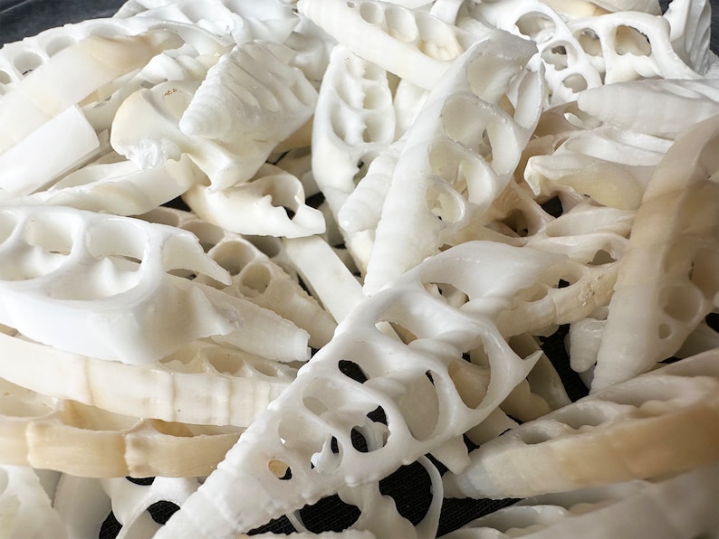 May include: A pile of white bamboo shoots, some are sliced and some are whole. The shoots are arranged in a random pattern.