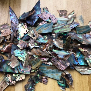 Sale! 10g + Thin Peacock Abalone Shell Pieces,Ultra-Thin Slices.
