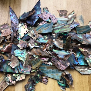 Sale! 10g + Thin Peacock Abalone Shell Pieces,Ultra-Thin Slices.