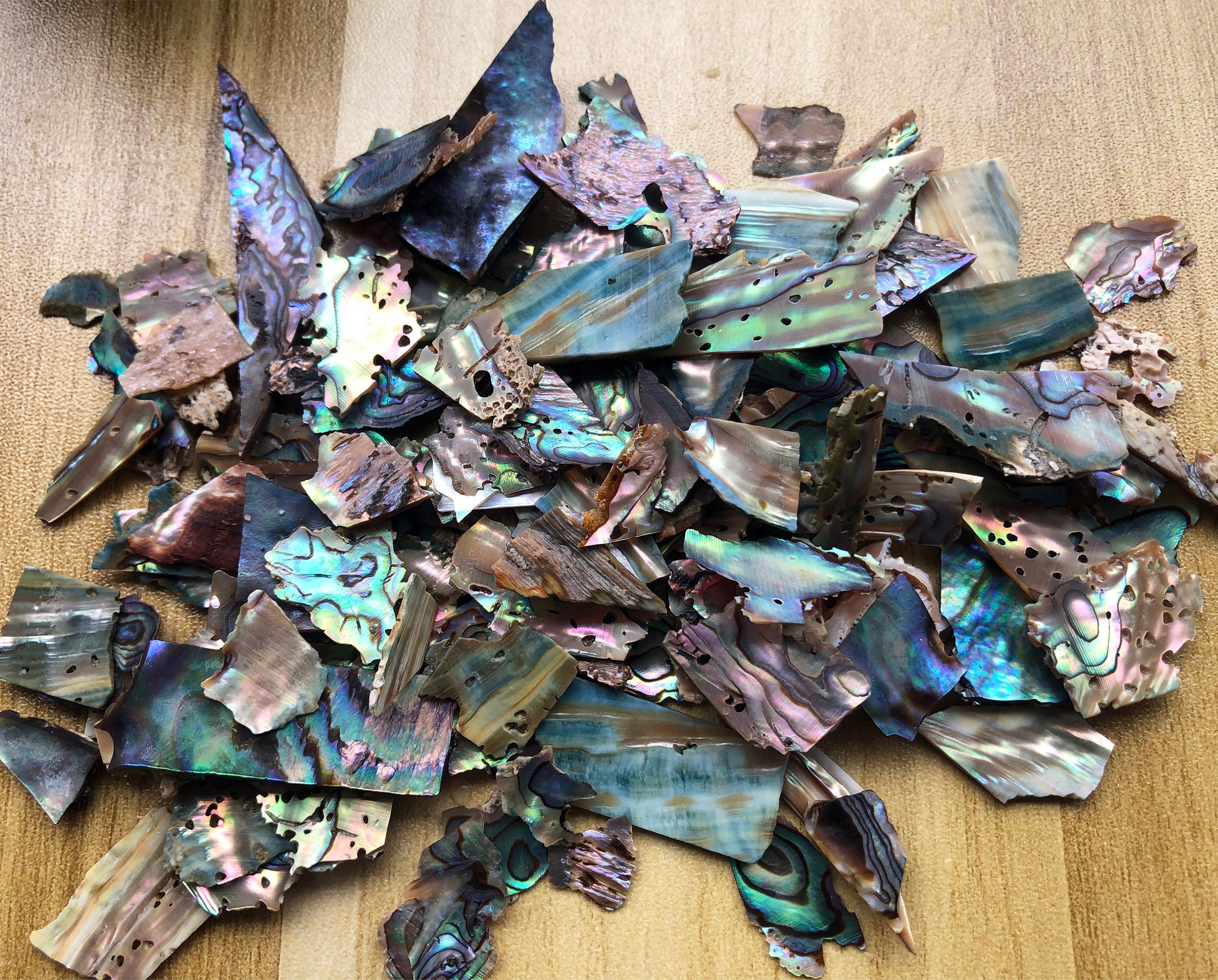 10g irisierende Abalone Muschelstücke : Dünne Scheiben zum Basteln
