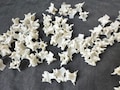 30-60 Real Snake Vertebrae bone.Snake Bone for Carft.Bone for Art Jewelry beads. Bulk Snake Vertebrae.loose snake bones,real animal bone product logo