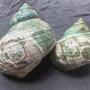 May include: Two large, decorative seashells with a green and white marbled pattern. Each shell features a carved panda bear design. The shells are on a gray surface.