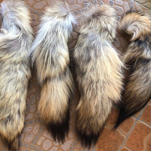 Large Plump Coyote Tails, select, 14-18", Soft Fur, Silky Tan Tails. 1 pcs true coyote tail. Coyote fur. Coyote leather. Animal fur.Tail