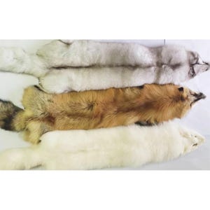 なめし加工された本物のキツネの毛皮、3 色から選択可能、特大、動物の革、動物の毛皮、本物の毛皮、本物の皮膚。