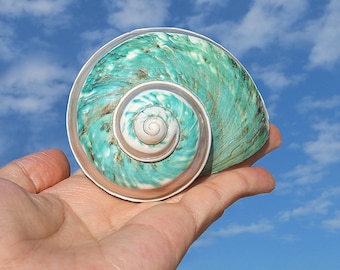 Huloportuss Etsy Huloportuss Etsy