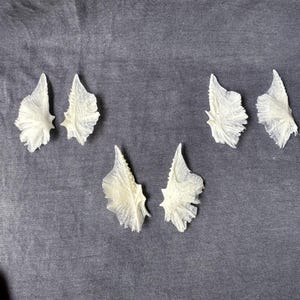 Può includere: Sei elementi decorativi bianchi a forma di ala sono disposti su una superficie di tessuto grigio. Gli elementi hanno un aspetto strutturato e stratificato, con una qualità delicata, quasi traslucida. La disposizione suggerisce un tema artigianale o decorativo.