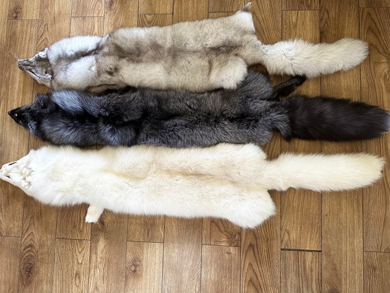 Authentic Large Genuine Rabbit Fur Skin Pelt Real Tanned Taxidermy Hide Authentic Large Genuine Rabbit Fur Skin Pelt Real Tanned Taxidermy Hide