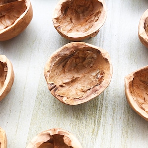 May include: A collection of empty walnut shells, each with a unique shape and texture. The shells are light brown and have a natural, rustic look. They are arranged on a white wooden surface.