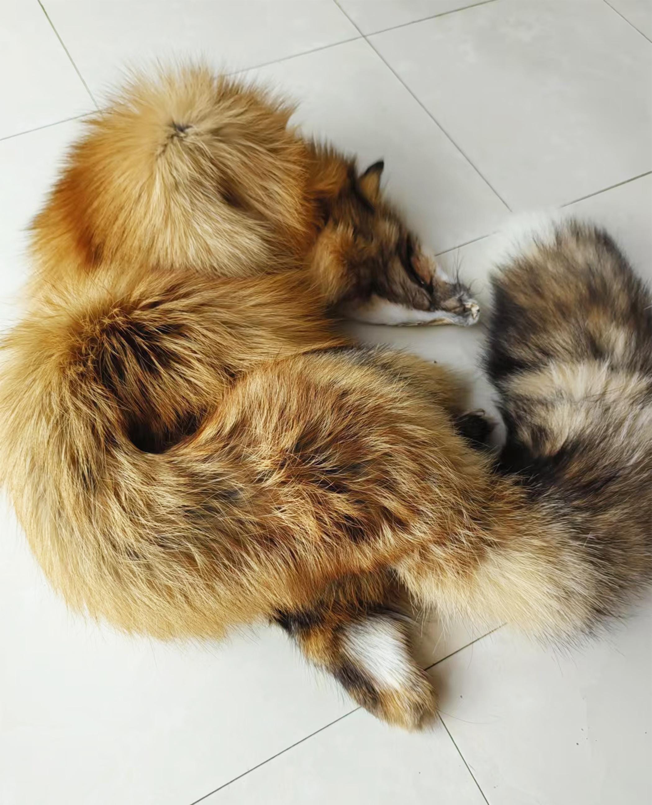 なめし加工された本物のキツネの毛皮、3色から選択可能、特大サイズ