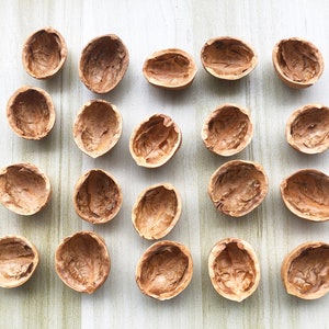 6 - 50 Walnussschalen, 3,5 - 3,5 cm. Walnussschalen für Dekorationsartikel. Natürliche Kunst und Bastelbedarf.Bio Walnussschale.Bastelbedarf