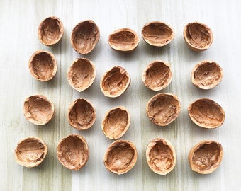 6 - 50 walnut shells, 1.4" - 1.5". Walnut shells for decorative items. Natural art and craft supplies.Organic walnut shell.Crafts Supplies