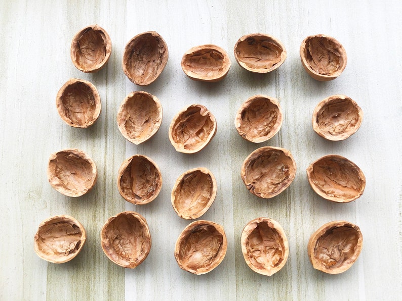 May include: A collection of 18 empty walnut shells arranged in a grid pattern on a light wood surface. The shells are all natural and have a light brown color.