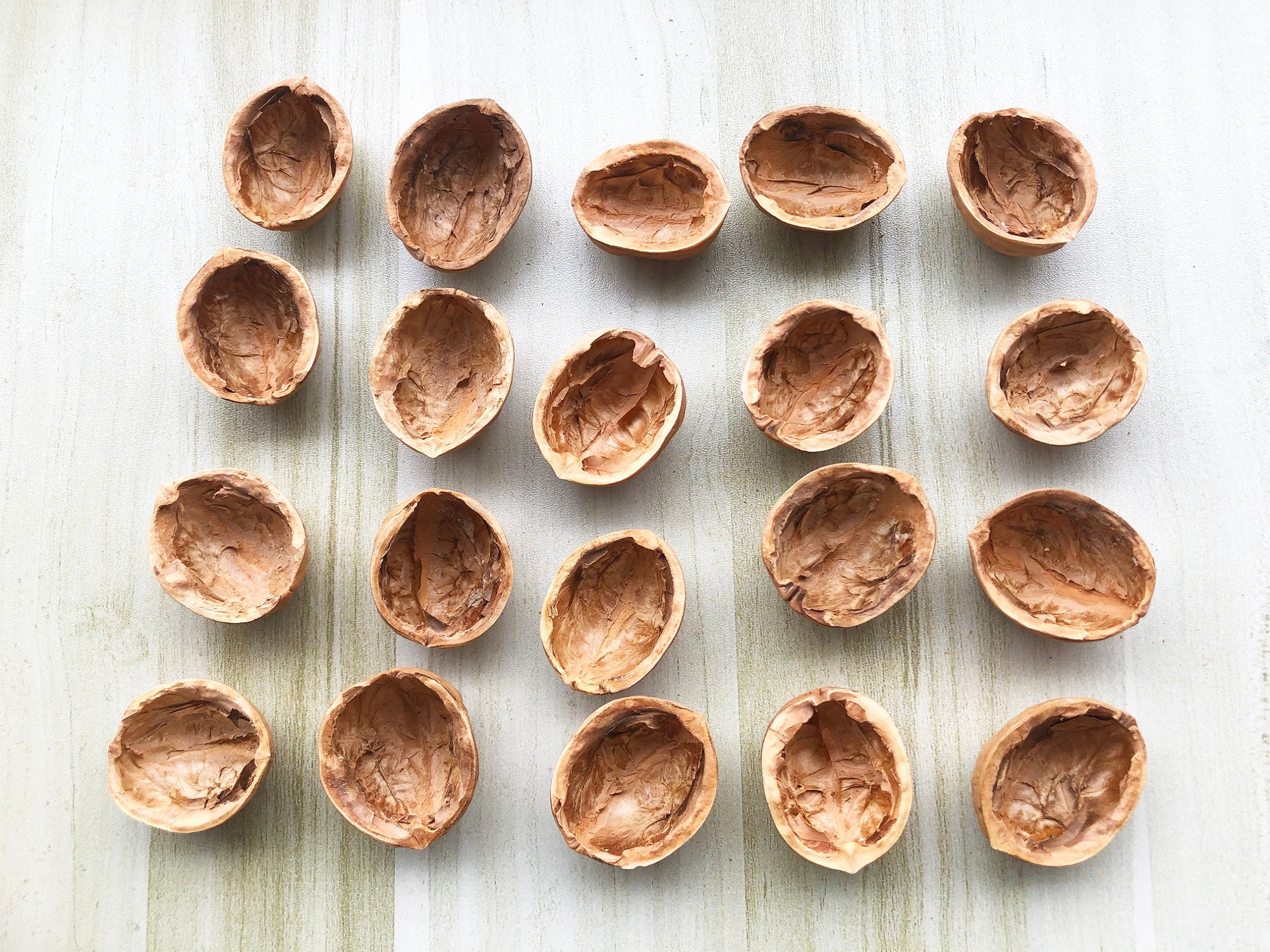 Organic Walnut Shells (6-50): Natural Art & Craft Supplies