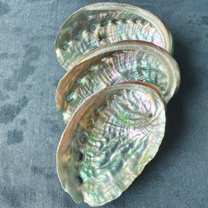 Wholesale(2-3