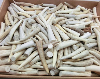 6-12 pcs Deer Antler Crafting.GRADE A for Jewelry Making, Leather Working, Native Crafts.Animal horns,Taxidermy knife handle