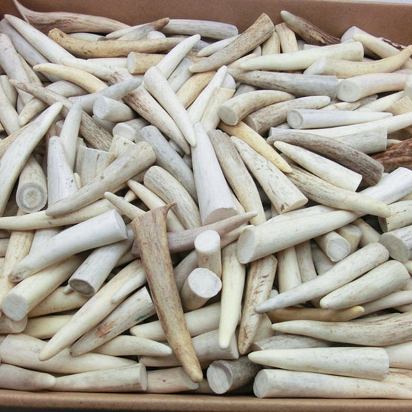 6-12 pcs Deer Antler Crafting.GRADE A for Jewelry Making, Leather Working, Native Crafts.Animal horns,Taxidermy knife handle