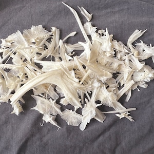 0.5- 1 Pack Real Fish Bone!  More than 50 pieces on average. Real bones in bulk.Bone Collections or Rustic Crafts.Mystery Box