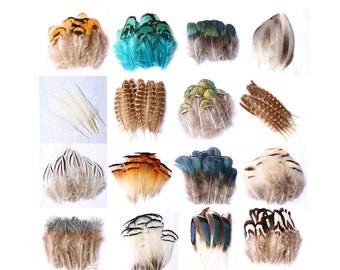 20 pezzi Feather Mix.16 diverse varietà di piume per choose.wholesale bulk feathers.golden fagiano, ringneck pheasant.craft piume