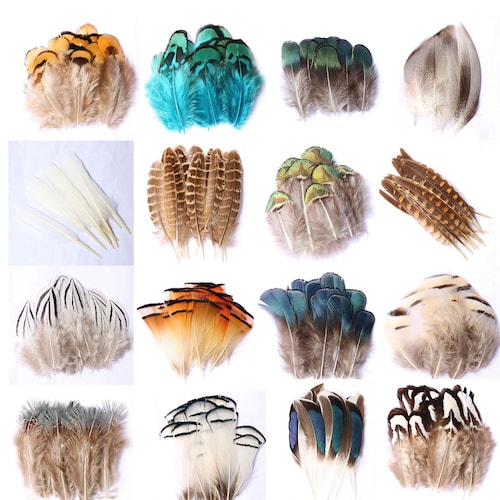 20 Pcs Feather Mix.16 Different Varieties Feathers for Choose