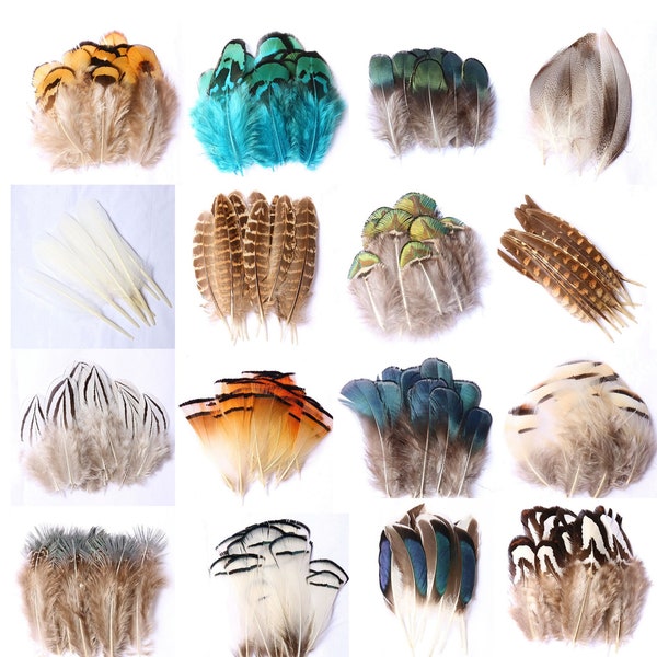 20 pcs Feather Mix.16 different varieties feathers for choose.wholesale bulk feathers.golden pheasant,ringneck pheasant.craft feathers