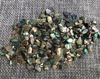 Iridescent Abalone Shell Pieces: Thin Paua Slices for Resin & Nail Art