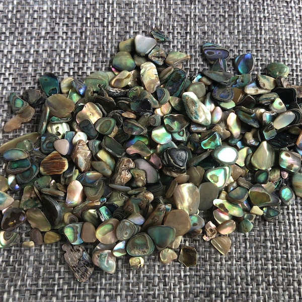 Wholesale ! 10-50g  thin and small Abalone Shell Pieces.Abalone shell bulk,paua abalone shell.Ultra-Thin Slices.Acrylic Art,Resin Art.