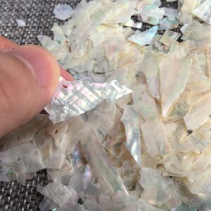 Shell Flakes 10g Very Thin Pearl Shell Flakes. for Jewelry Making and Nail Art ...