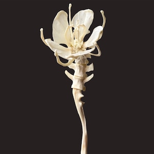 Äkta benblomma, gjord av riktiga djurben. Cottagecore, gamkultur, voodoo-hantverk. Gåva till mannen. Gåva till kvinnan. Gotiska bensmycken