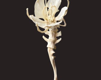 Fleur en os véritable, fabriquée à partir de véritables os d'animaux. Style cottagecore, culture du vautour, artisanat vaudou. Cadeau pour homme. Cadeau pour femme. Bijou gothique en os.