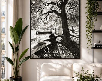 ORIGINAL POSTER | Sebastiao Salgado Paris 2026 Stil B | 1,2 x 2 m | Kunstdruck
