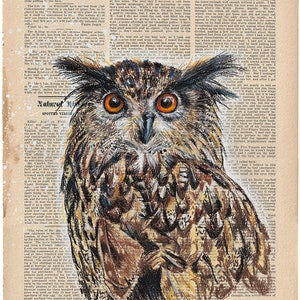 Uhu Illustration auf Vintage Papier, hochwertiger Giclée-Druck, 3 Größen Din A4, Din A3, Din A2