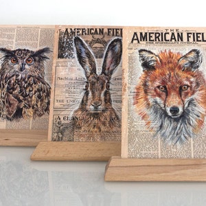 Postkarten einzeln, Fuchs, Hase, Uhu, Tierillustrationen auf altem Papier