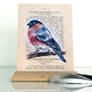 Postkarte Vogelillustration, Dompfaff, Gimpel auf alter Buchseite mit passendem Text, Netter Gruß für Vogelliebhaber
