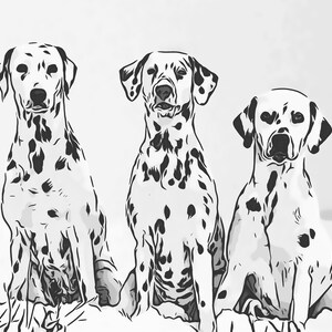 Fichier numérique - Trois dalmatiens