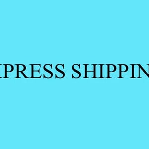 Fast Express Shipping