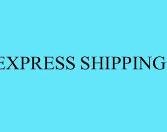 Fast Express Shipping