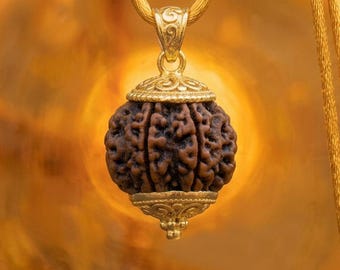 7 Mukhi Rudraksha Pendant, 925 Sterling Silver Spiritual Jewelry, Natural Original Rudraksha Necklace, Meditation Jewelry, Meaningful Gift