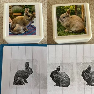 Custom Bunny Portrait Ink Stamp,Personalized Rabbit cat Portrait Stamp, Pet Stamp, Face Stamp, Customized, , Gift for cat lover