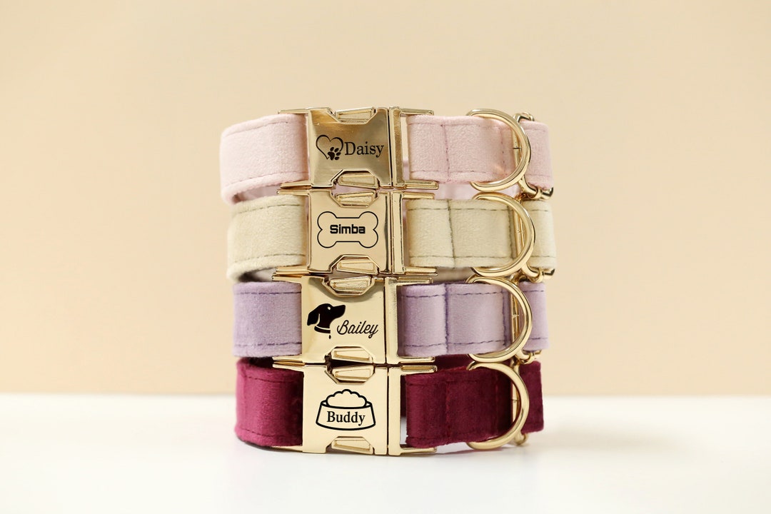 Personalized Engraved Velvet Dog Collar Leash, Custom Pet Name Plate
