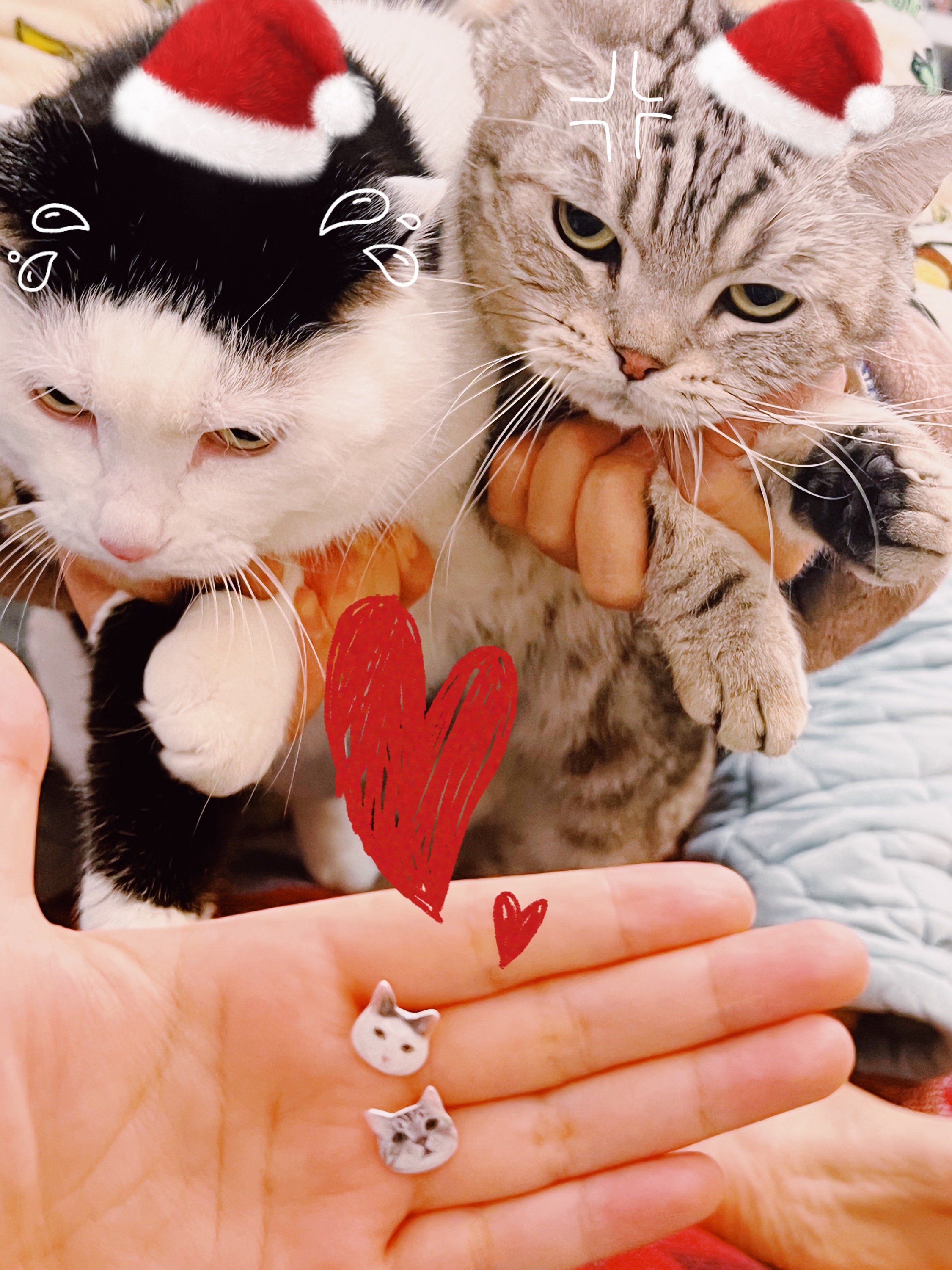 Custom Pet Portrait earrings and ring, Personalized Handmade Cat Dog Portrait earrings, Pet Face earrings, Artwork gift for her