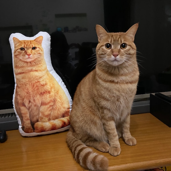 Personalized Pet Pillow Cat Dog Throw Pillow, Custom 3D dog cat pillow , dog cat lover gifts, Pet Pass Away Gift, Memorial Gift