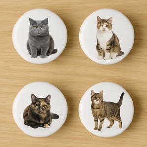 Peut inclure: Quatre boutons ronds blancs avec des images de chats. Le premier bouton montre un chat gris assis. Le deuxième bouton montre un chat tabby brun et blanc assis. Le troisième bouton montre un chat tabby brun couché. Le quatrième bouton montre un chat tabby brun debout.
