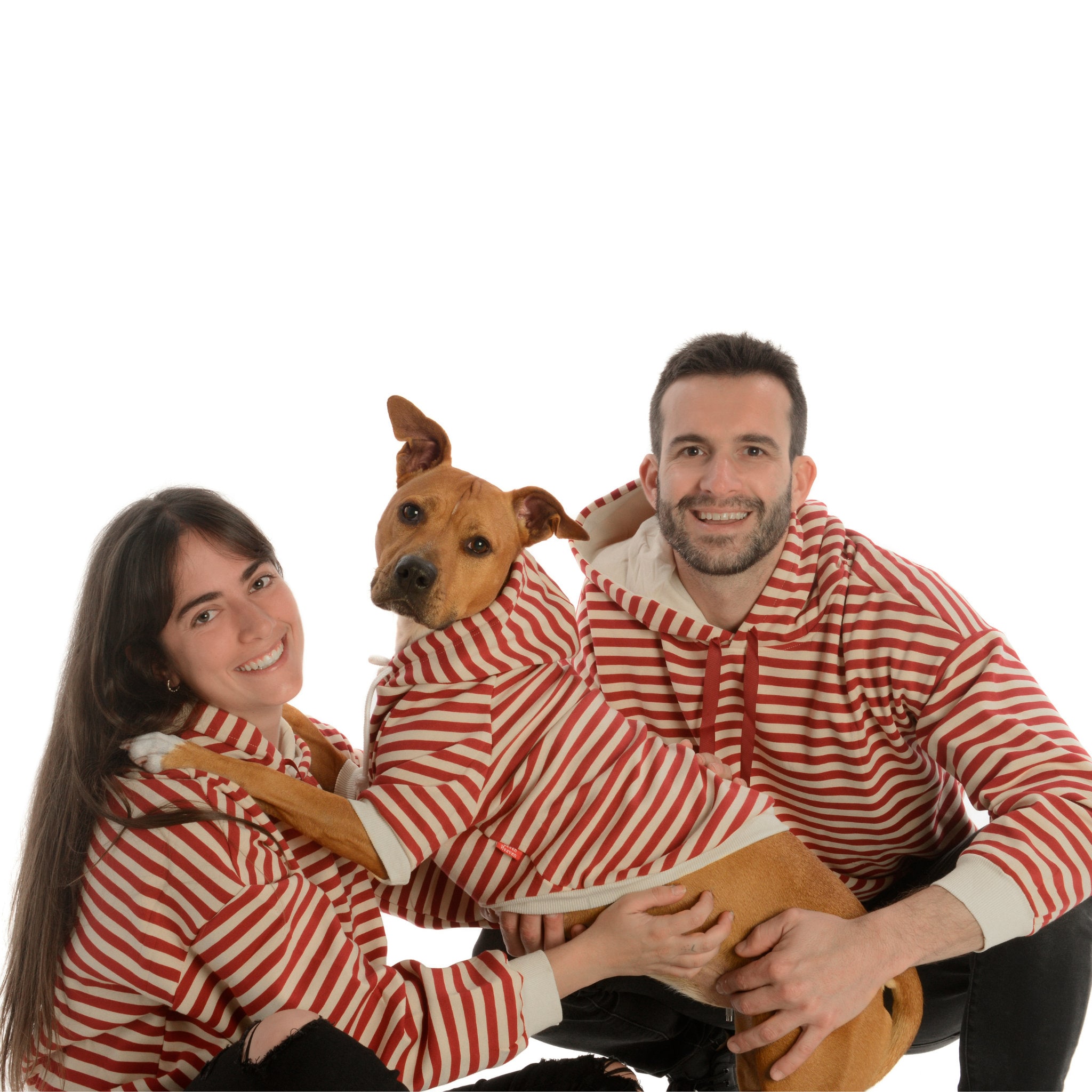 staffy hoodies for dogs