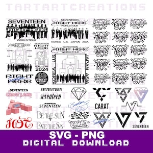 seventeen直筆サインステッカー ヘンガレ SEVENTEEN セブチ ヘンガレ CD サイン入り ホシ