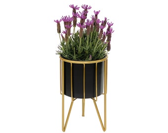 DanDiBo 96039 Tabouret à fleurs avec pot en métal doré noir rond S 32 cm Colonne de fleurs Support pour plantes moderne Tabouret pour plantes