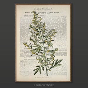 Wormwood Vintage Illustration Art Print: Herbarium Dictionary Page (Digital Download)