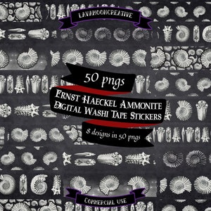 Puede incluir: Una descarga digital de 50 ilustraciones en blanco y negro de amonites, perfectas para crear pegatinas de cinta washi digital. Las ilustraciones se basan en el trabajo de Ernst Haeckel. El texto "50 pngs" y "FRNST HAECKEL AMMONITE DIGITAL WASHI TAPE STICKERS" está incluido en la imagen.