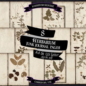 Herbarium junk journal pages | Botanical specimens | Herbarium journal | Antique pages | Herbarium pages | Junk journal supplie |  | LMC421