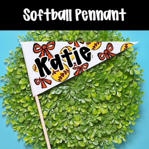 Senior Softball Gifts, Class of 2027, Senior Night Gift, Softball Team Gift, Senior 2027,  End of Season Gift